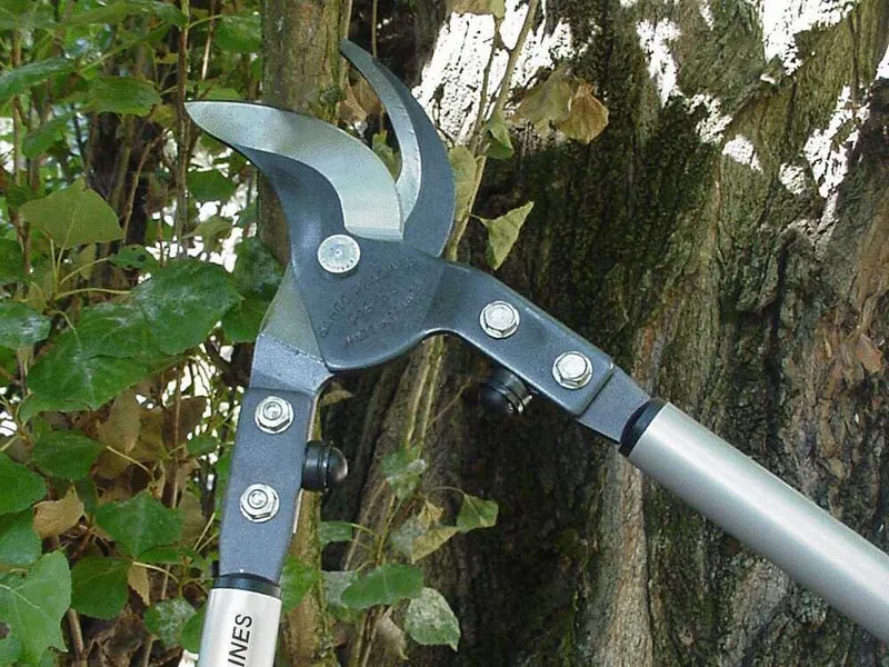 Bahco P19-80-F - Coupe-branches Bypass - Coupe 50 mm - Longueur 80 cm