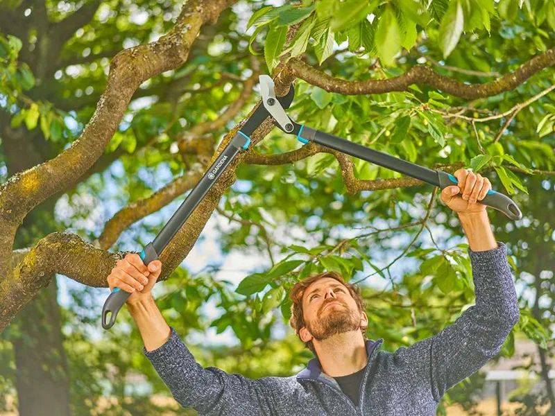 Gardena EnergyCut Pro L - Coupe-branches Bypass - Longueur 75 cm