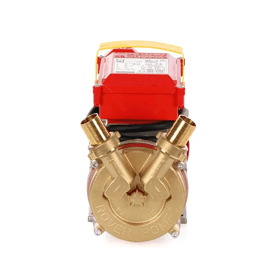 Rover BE-T 25 - Pompe électrique de transfert en bronze - Triphasée - 400 V