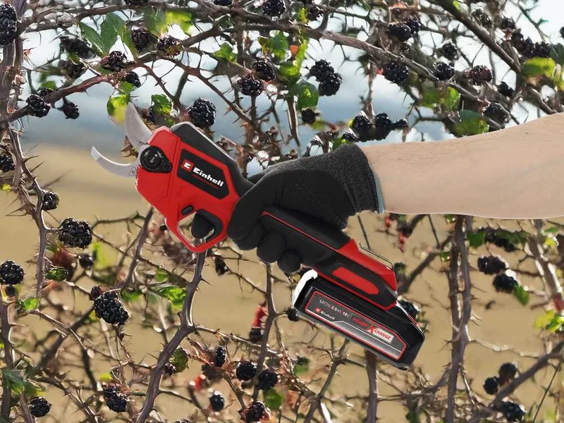 Einhell GP-LS 18/28 LI BL - Sécateur à batterie de taille - 18V 4Ah - Diamètre de coupe 28 mm