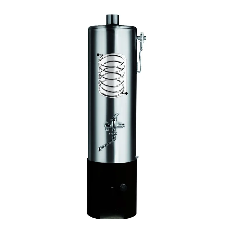 Wittigsthal Chauffe-bain sous pression ZW100 avec échangeur thermique complet – inox 100L, foyer noir, MB