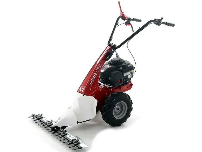 Eurosystems Minieffe - Motofaucheuse multifonction - B&S 450E