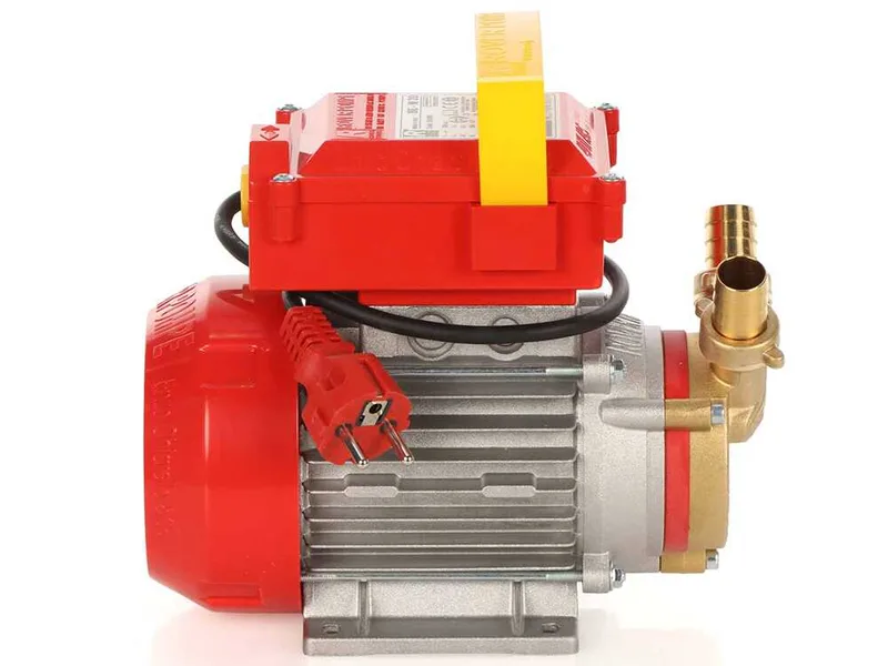 Rover BE-M 20 IP 55 - Pompe électrique de transfert en bronze avec protection IP55 - Monophasée - 230 V