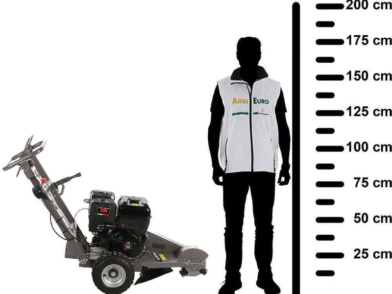 BlackStone SG 420 B&S - Rogneuse de souches - Moteur B&S XR2100 420 cm3 - Disque de coupe avec 8 marteaux en carbure de tungstène
