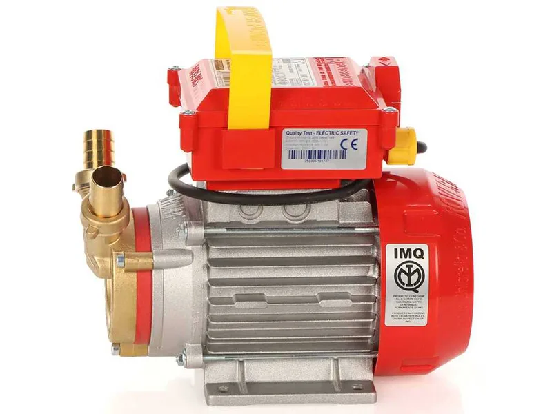 Rover BE-M 20 - Pompe électrique de transfert en bronze - Monophasée - 230 V
