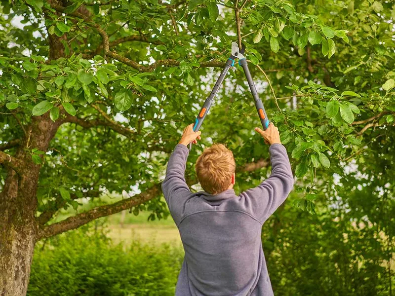 Gardena TeleCut Pro S - Coupe-branches Bypass Télescopique - Longueur 52/67cm