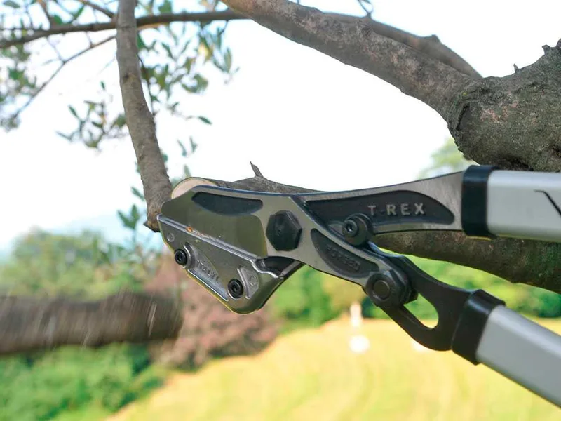 Vesco t-rex T10 - Coupe-branches à enclume droite - Longueur 80 cm