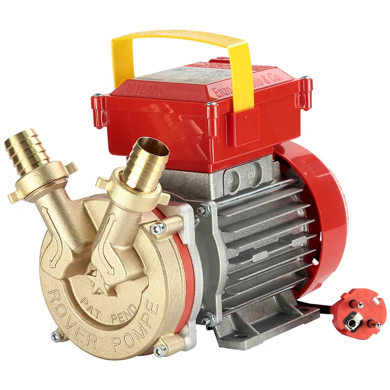 Rover BE-M 25 IP 55 - Pompe électrique de transfert en bronze avec protection IP55 - Monophasée - 230 V