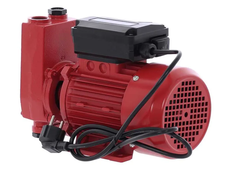 Ribimex PRKG130 - Pompe de transfert pour gasoil + kit distributeur