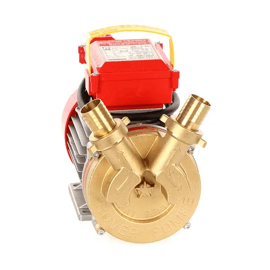 Rover BE-T 30 - Pompe électrique de transfert en bronze - Triphasée - 400 V
