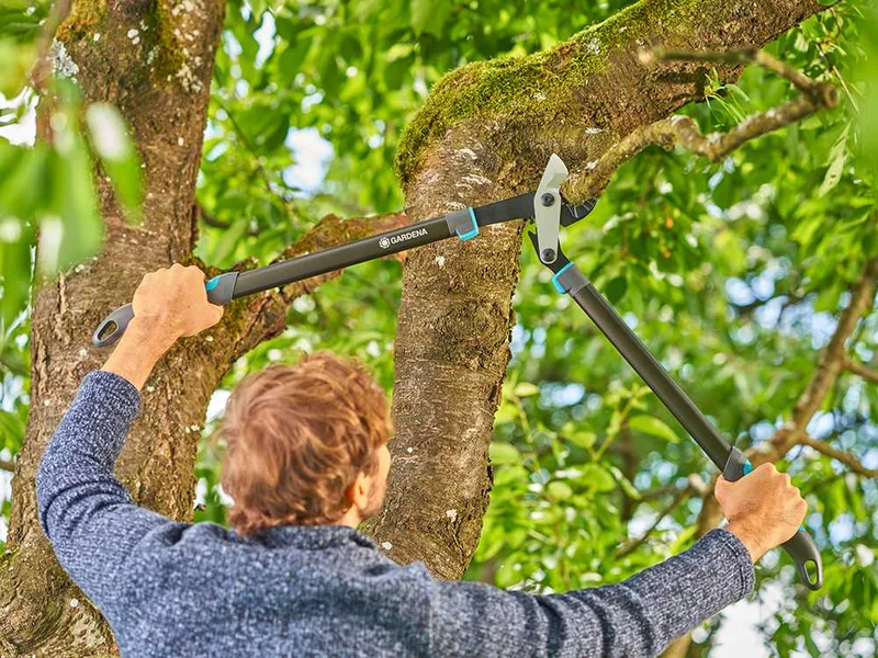 Gardena EnergyCut Pro L - Coupe-branches à enclume - Longueur 75cm