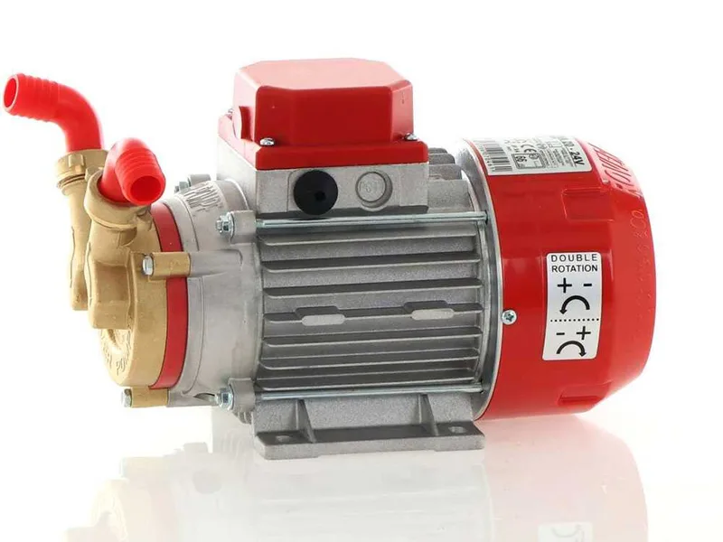 Rover Marina 20 - Pompe électrique de transfert en bronze - 24 V