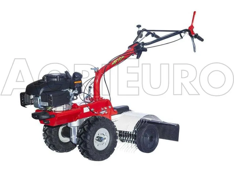 Accessoire Scarificateur à louchets pour tondeuse débroussailleuse EuroSystems P70