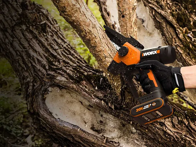 Worx WG326E - Élagueuse sur batterie - 20 V 2 Ah