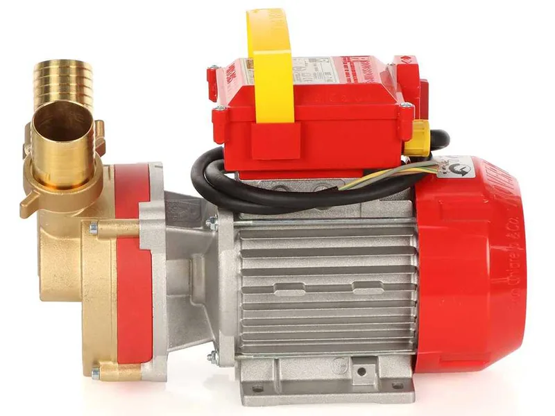 Rover BE-T 40 - Pompe électrique de transfert en bronze - Triphasée - 400 V