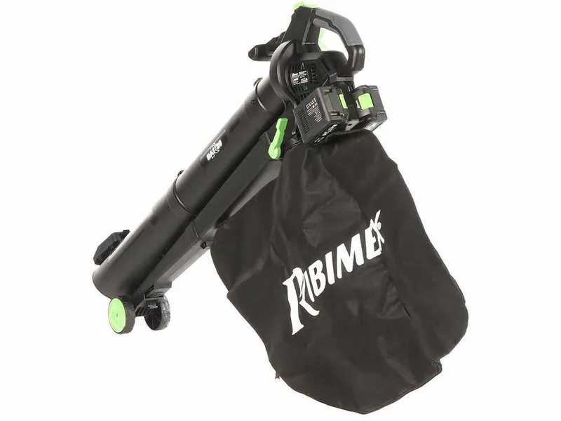 Ribimex PRBAT20-ASB1SB - Souffleur aspirateur à batterie 40 V 4 Ah