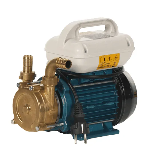 Tellarini EEM 20 - Pompe de transfert en laiton - Monophasé - 230V