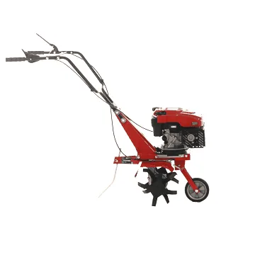Einhell GC-MT 2536 - Motobineuse à essence - Moteur 150 cm3