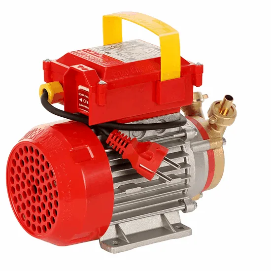 Rover BE-M 10 - Pompe électrique de transfert en bronze - Monophasée - 230 V
