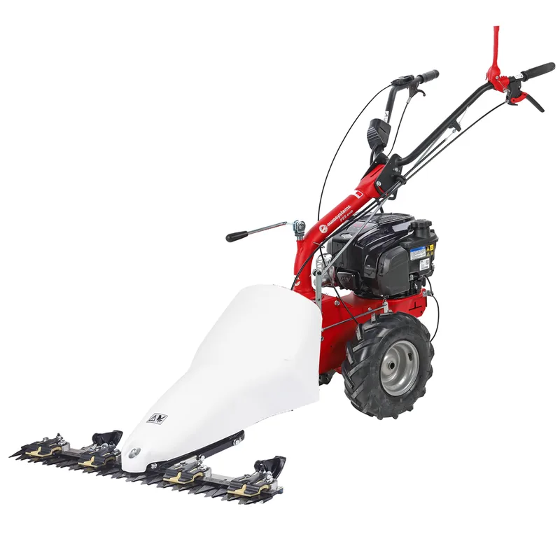 Eurosystems P55 EVO - Motofaucheuse multifonction bilame - B&S 675 iSi