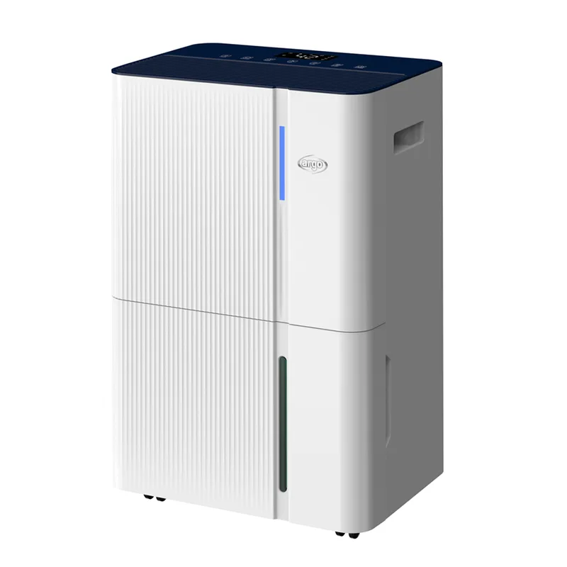 Argo Dry Pury Evo WF 31 - Déshumidificateur avec système de purification de l'air - 31 L/24 h
