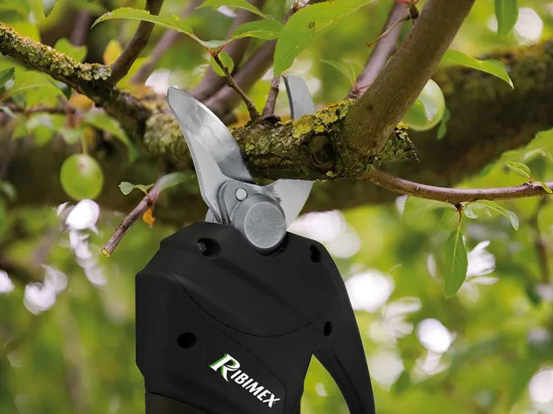 Ribimex PRBAT20/SEC - Sécateur de taille électrique sur perche 147-203 cm - 20V/2Ah - Diamètre de coupe 25 mm