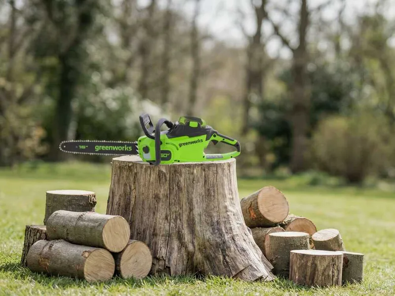 Greenworks CS40O6 - Tronçonneuse à batterie 60 V - Guide de 40 cm
