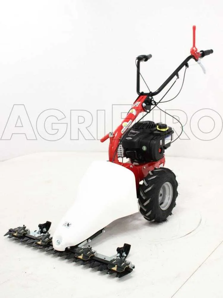 Eurosystems M210 - Motofaucheuse bilame - B&S 450E