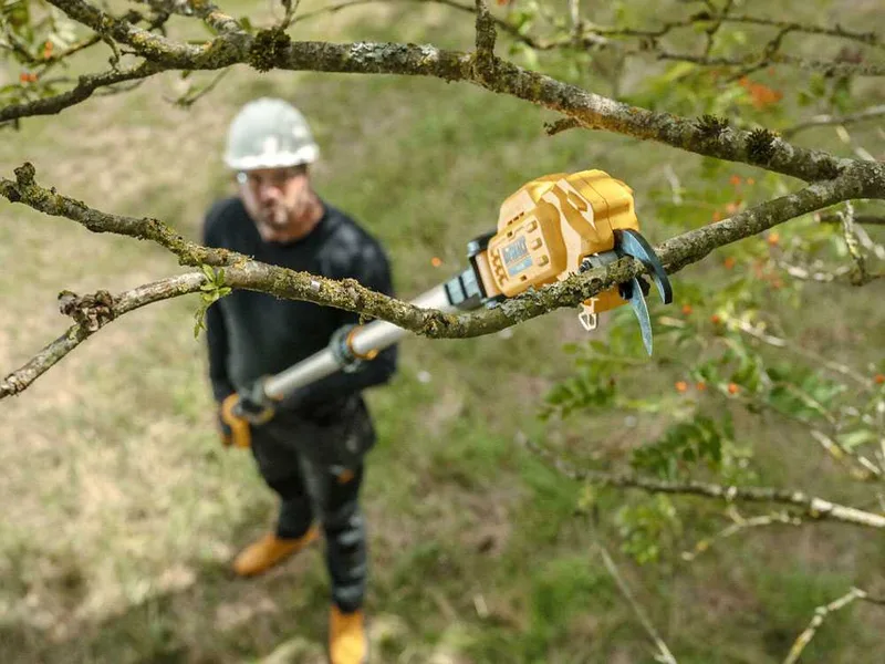 DeWalt DCMPP569P1-QW - Sécateur électrique sur perche - 200-300 cm - 18 V 2 Ah