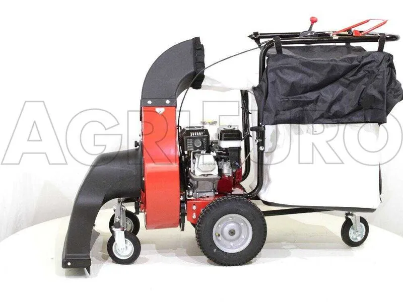 Benassi AF200SL - Aspirateur à feuilles thermique autotracté - Honda GX200