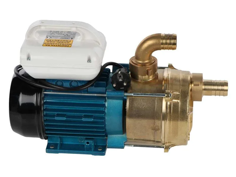 Tellarini EEM 30 - Pompe électrique de transfert en laiton - Monophasé - 230V
