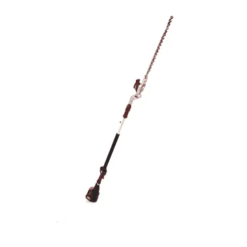 Blue Bird PHT 22-52 - Taille-haie sur perche télescopique à batterie - 21 V 5 Ah